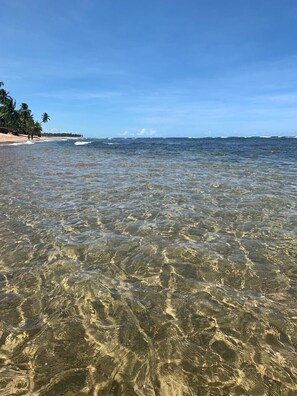 Playa en los alrededores, camastros y toallas de playa 