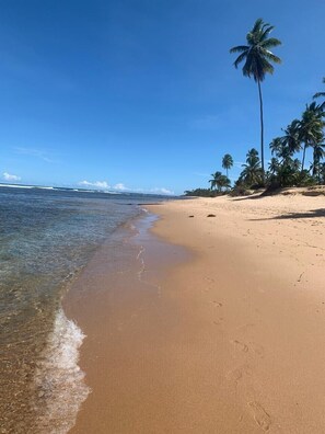 Beach nearby, sun-loungers, beach towels