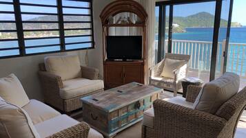 Televisie, een dvd-speler, boeken en een stereo