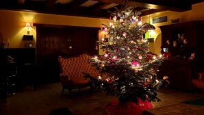 A cozy living room with a decorated Christmas tree, leather armchairs, and a fireplace. - Inntalhof Pension (Raubling)