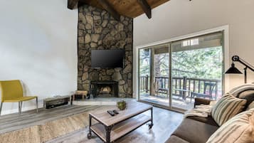 Smart TV, fireplace, books