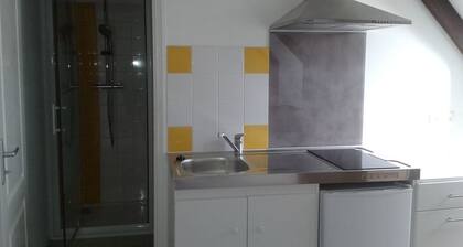 Loupedegril Studio Bleu