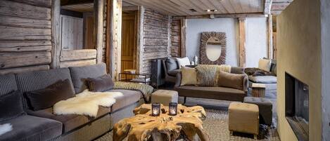 Télévision, cheminée, jeux vidéo, lecteur de DVD