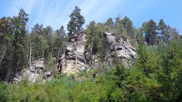 Área da propriedade