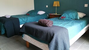 A room with two beds, each with teal bedding and decorative pillows. There is a nightstand with a lamp between the beds. - Apartment completely renovated in ground floor. (Saint-Jean-Pied-de-Port)