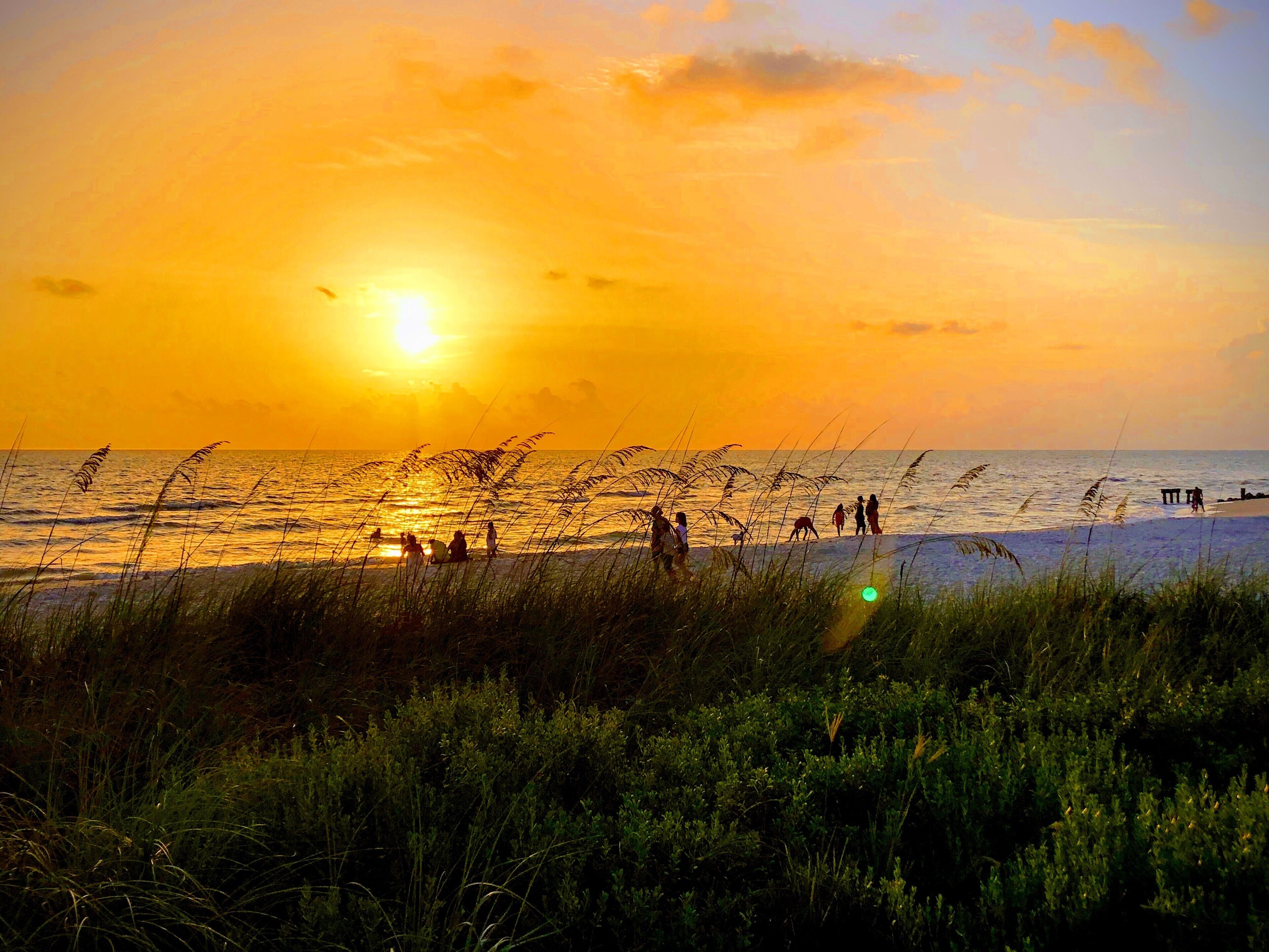 Une scène de plage avec des personnes et de l’herbe au premier plan, et un coucher de soleil sur l’eau.