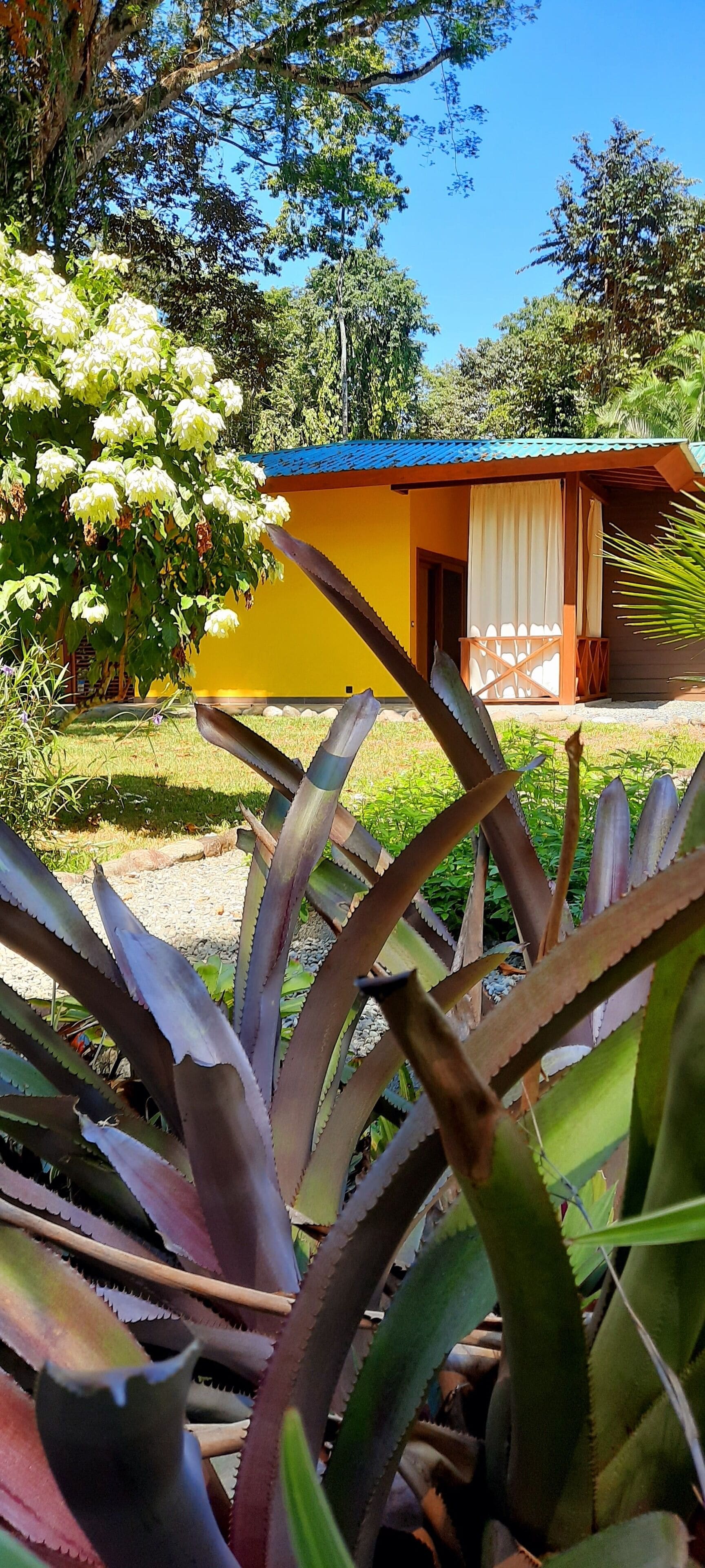 deluxe double room | terrace/patio