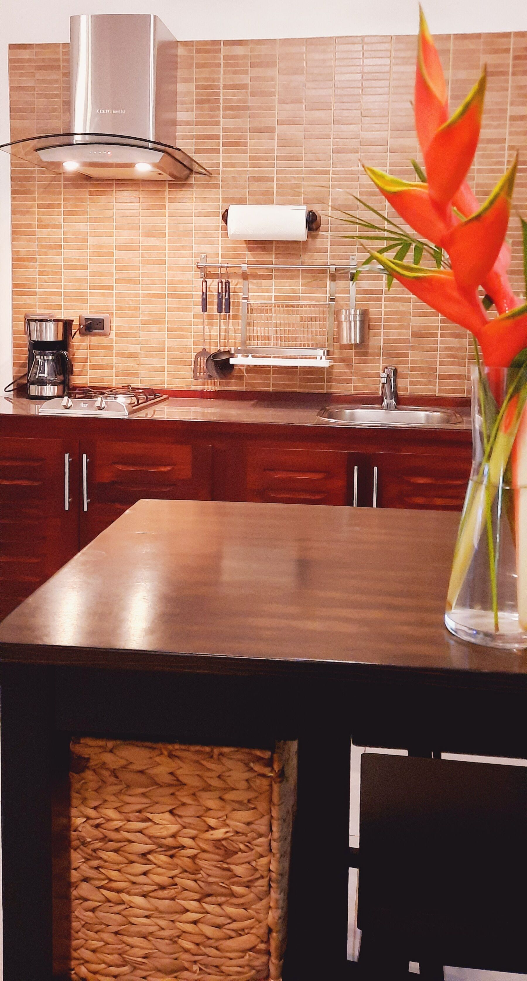 luxury apartment | private kitchen | full-sized fridge, coffee/tea maker, freezer