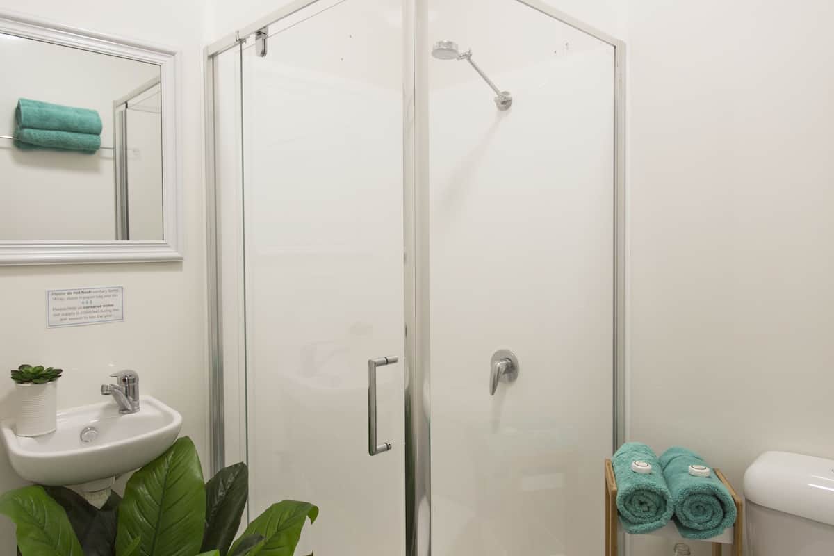 Shower, towels, toilet paper