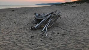 Een strand met drijfhout en een rustige zee bij zonsondergang.