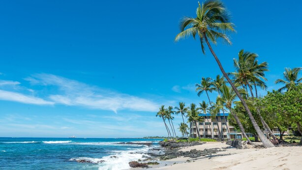 A beach with palm trees, ocean waves, and a building with multiple balconies. - Kona Pacific A102, No stairs, Ocean View, Walk to town! Elevators, AC!! (Kailua Kona)