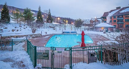 Heated Pool Hot Tubs Sauna Gym Deck Mtn Front Appalachian @ Mtn Creek #340