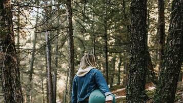 A person walking through a forested area with trees and a fallen log on the ground.