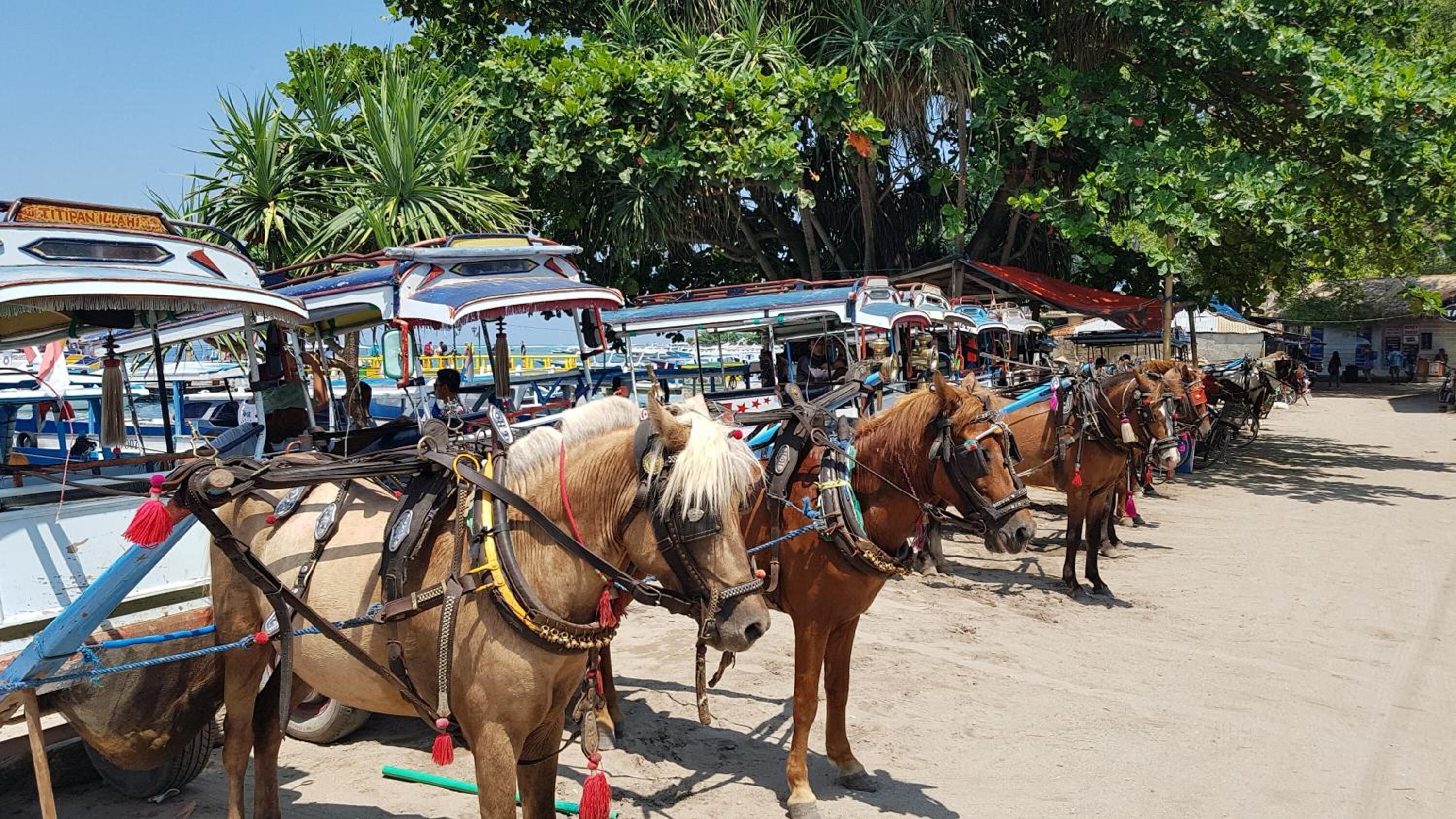 Foto - Cabana - Boutique Beachfront Accommodation