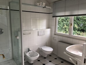 Shower, hair dryer, bidet, towels