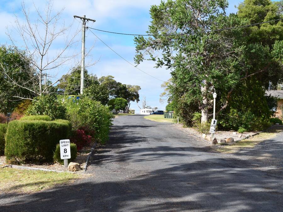 A residential street with a speed limit sign of 8 KPH, surrounded by trees and houses.