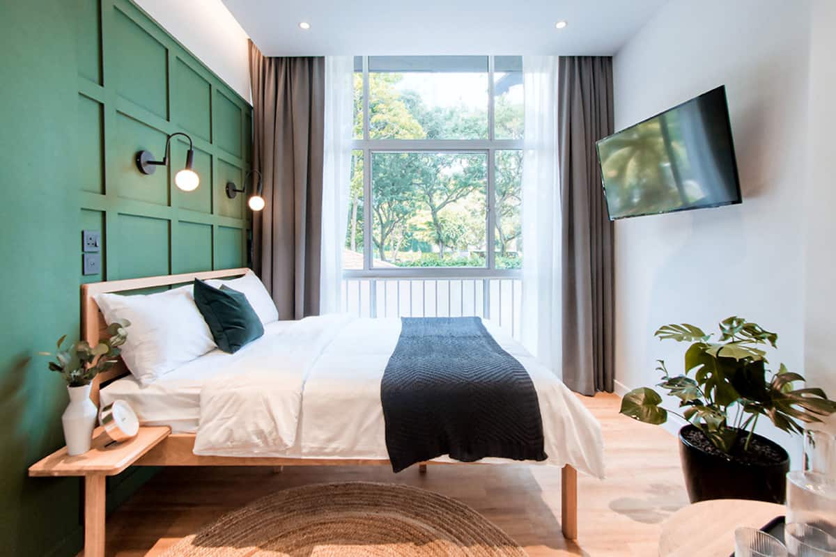 A modern bedroom with a large window, a bed with white and dark bedding, a bedside table with a lamp, and a potted plant.