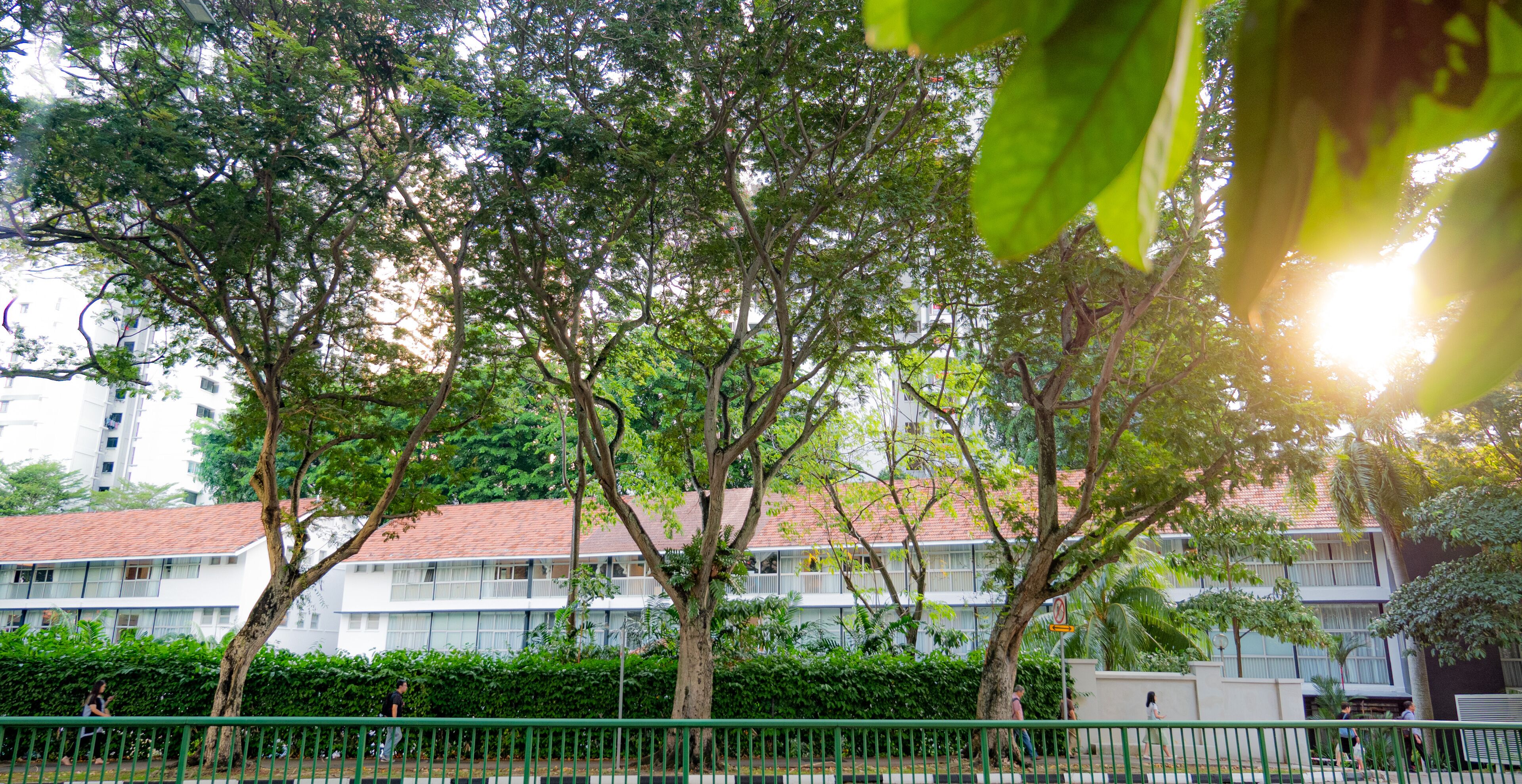 Foto - Habyt Cantonment - formerly Hmlet Cantonment