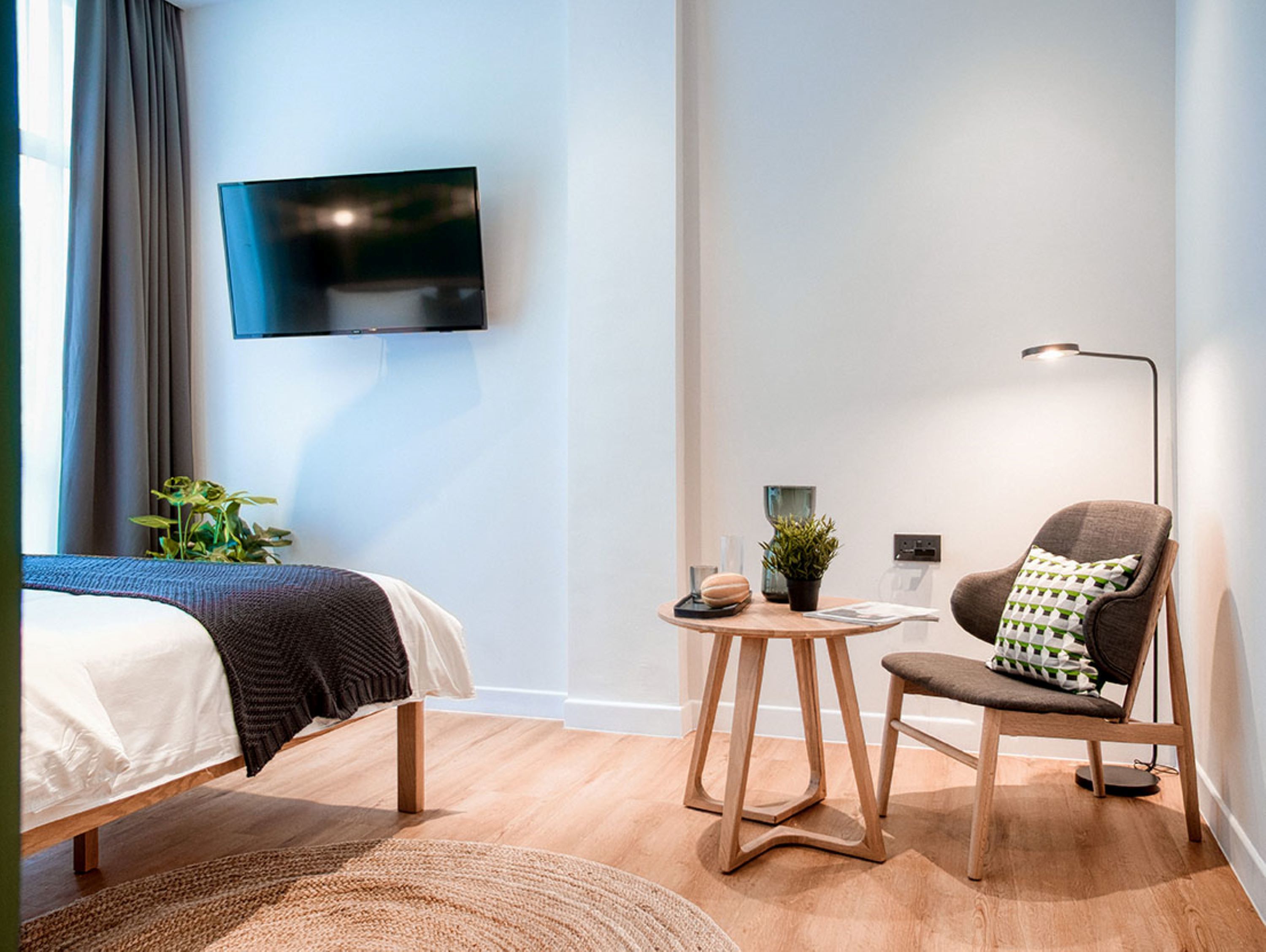 A modern hotel room with a bed, a chair, a small table with a plant, and a TV mounted on the wall.
