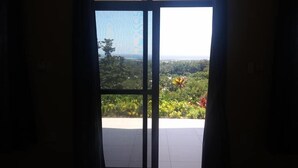 Vista a través de un ventanal con paisaje de vegetación y cielo despejado.