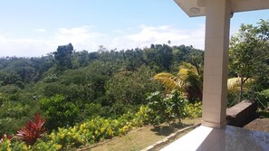 Garden - Samoa Rent Apartment House (Apia)