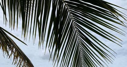 A traditional PR home, Clara’s Villa, near beaches and Downtown Boqueron.