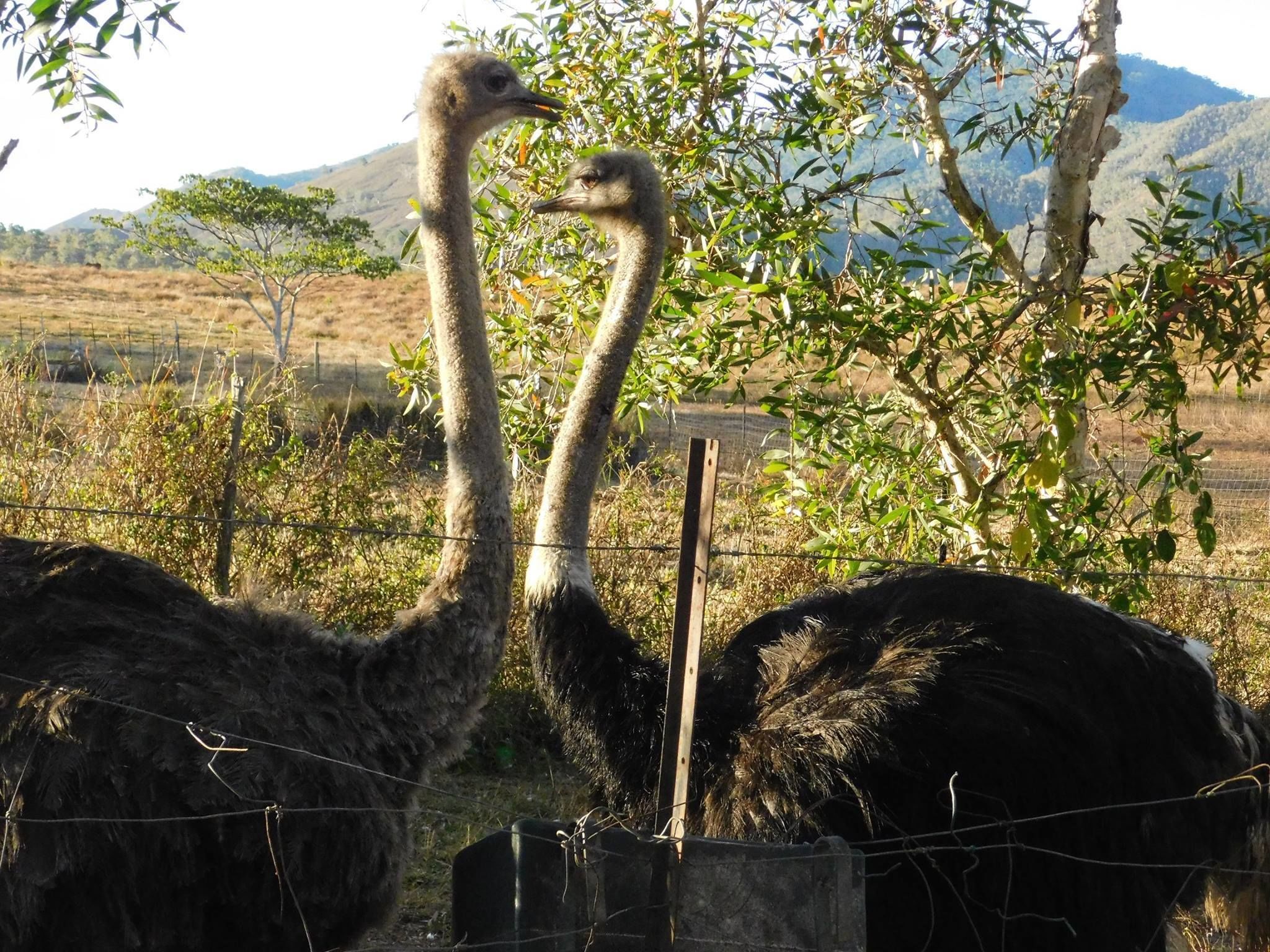 Fasilitet på overnattingsstedet