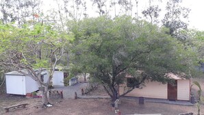 A small outdoor area with a tree, a white shed, and a wooden structure. - La Petite Ferme (La Foa)