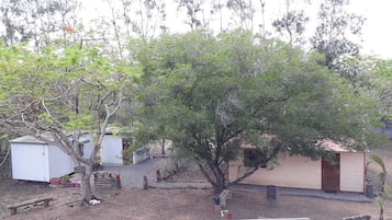 Cots/infant beds, bed sheets