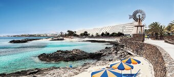 Canaryislandshost l My Nest