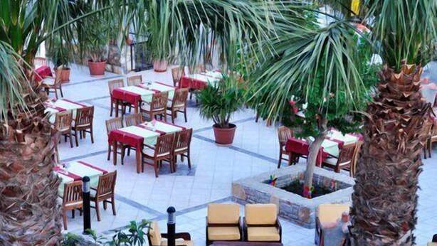 Ảnh chưa phân loại, 1 trong số 12 ảnh, nút