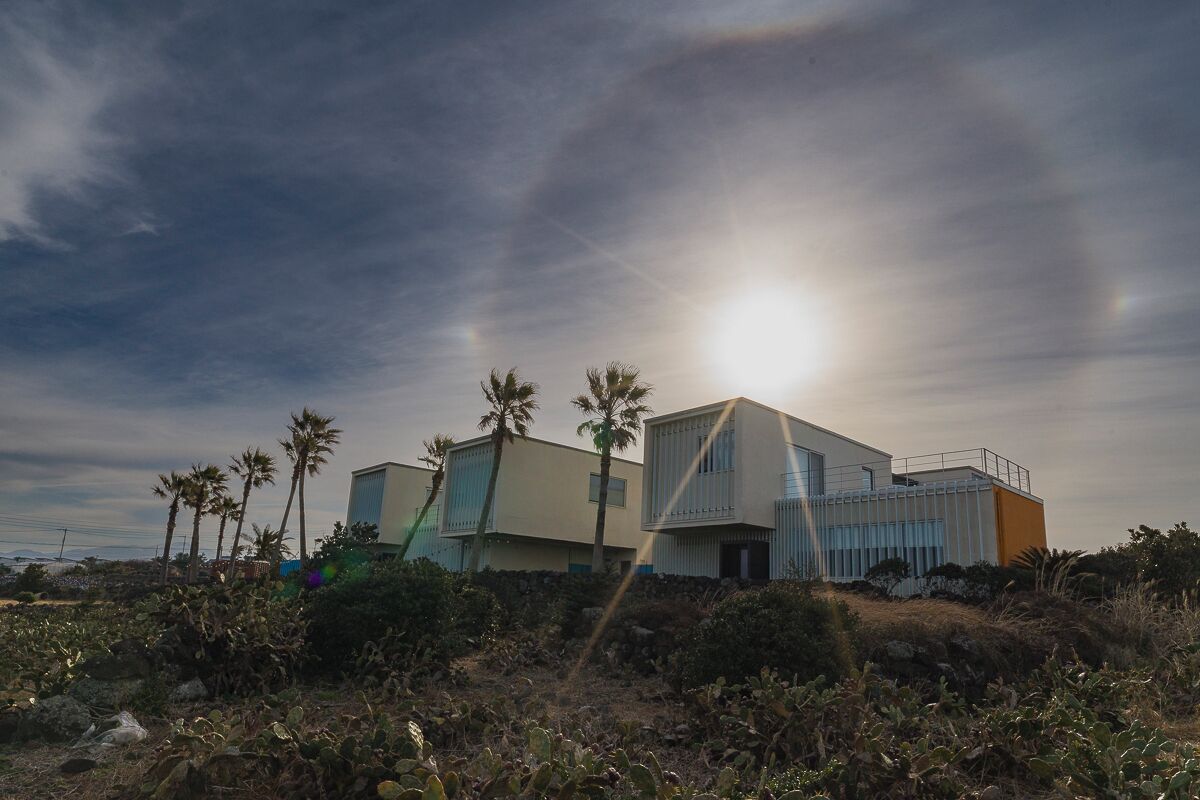 A modern two-story building with a flat roof and large windows, surrounded by cacti and palm trees.