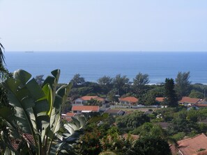 Ein Küstenwohngebiet mit Häusern, freiem Blick auf den Ozean und üppiger Vegetation.