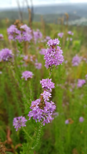 Detalle del exterior