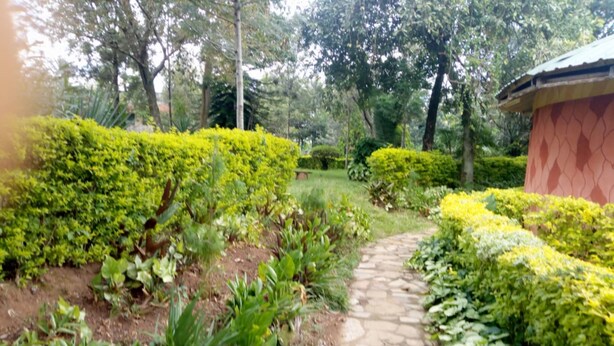 Un chemin de pierres aménagé dans un jardin bien entretenu, où l’on trouve différentes espèces de plantes et d’arbres.