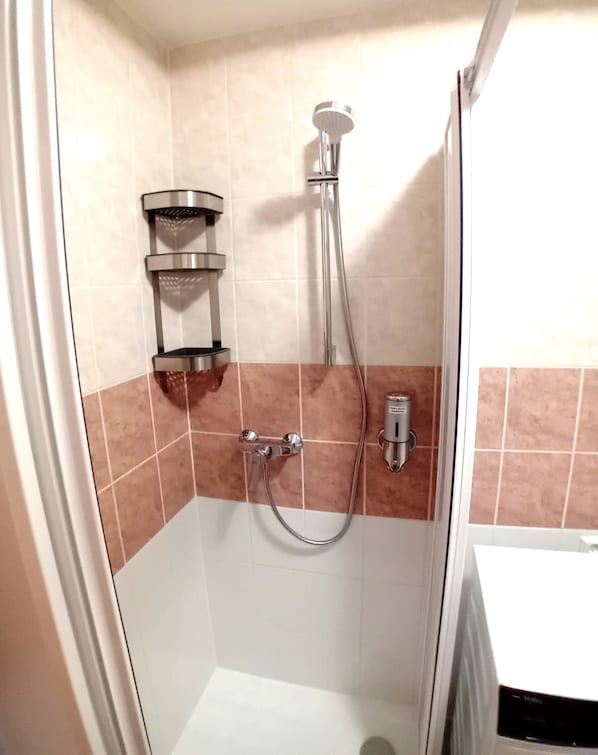 A shower with a handheld showerhead and a wall-mounted faucet. - City Castle Aparthotel (Prague)