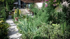 Garden - Maison d'hôtes Des Toits en Ville B&B (Villeurbanne)