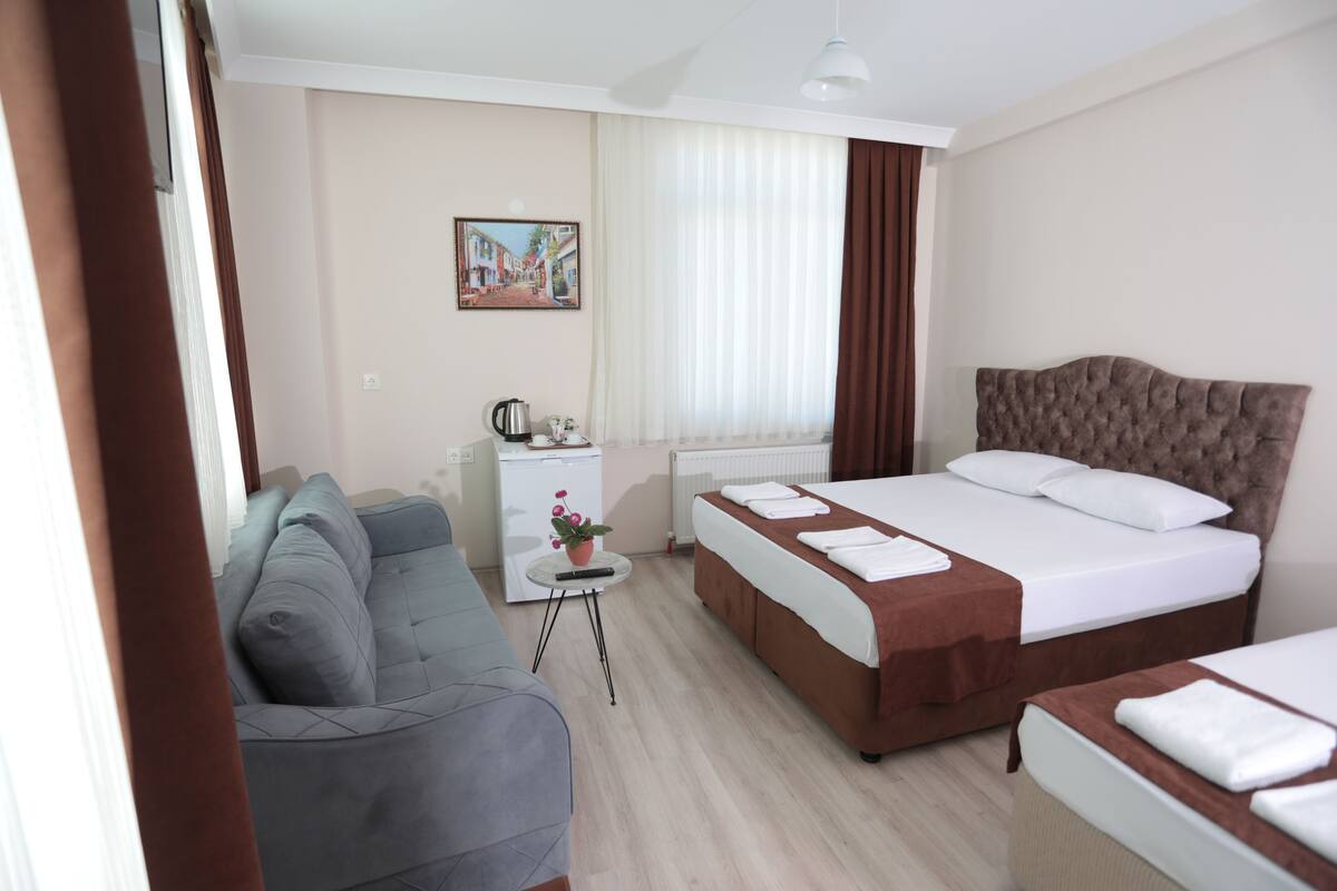 A hotel room with a bed, a sofa, a small table with a plant, and a radiator.