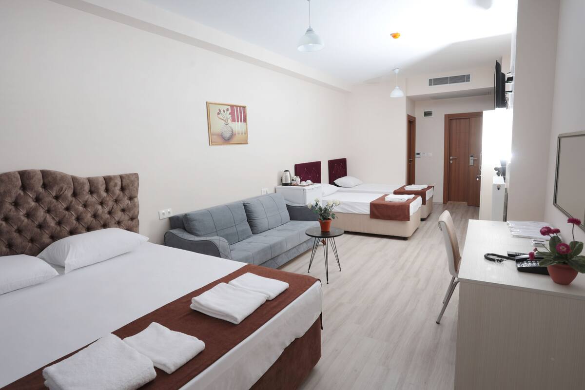 A hotel room with a large bed, a smaller bed, a sofa, a desk, and a TV.