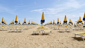 A beach with rows of yellow and blue umbrellas and sun loungers. - Appartamento Augustus (Jesolo)