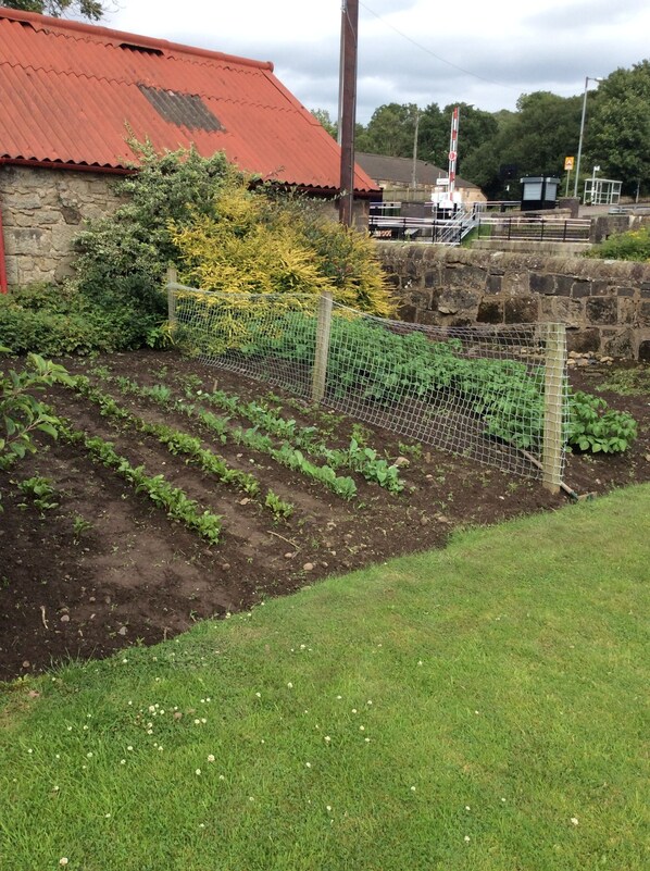Garden - Twechar Farm Bed & Breakfast (Glasgow)