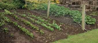 Twechar Farm Bed & Breakfast