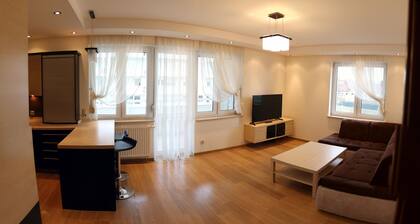 Apartament F&J 12