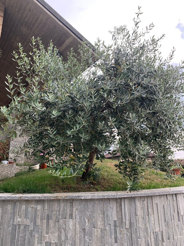 Exterior - Villa Cuore (Tavernerio)