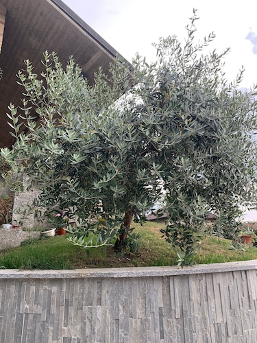 Villa Cuore