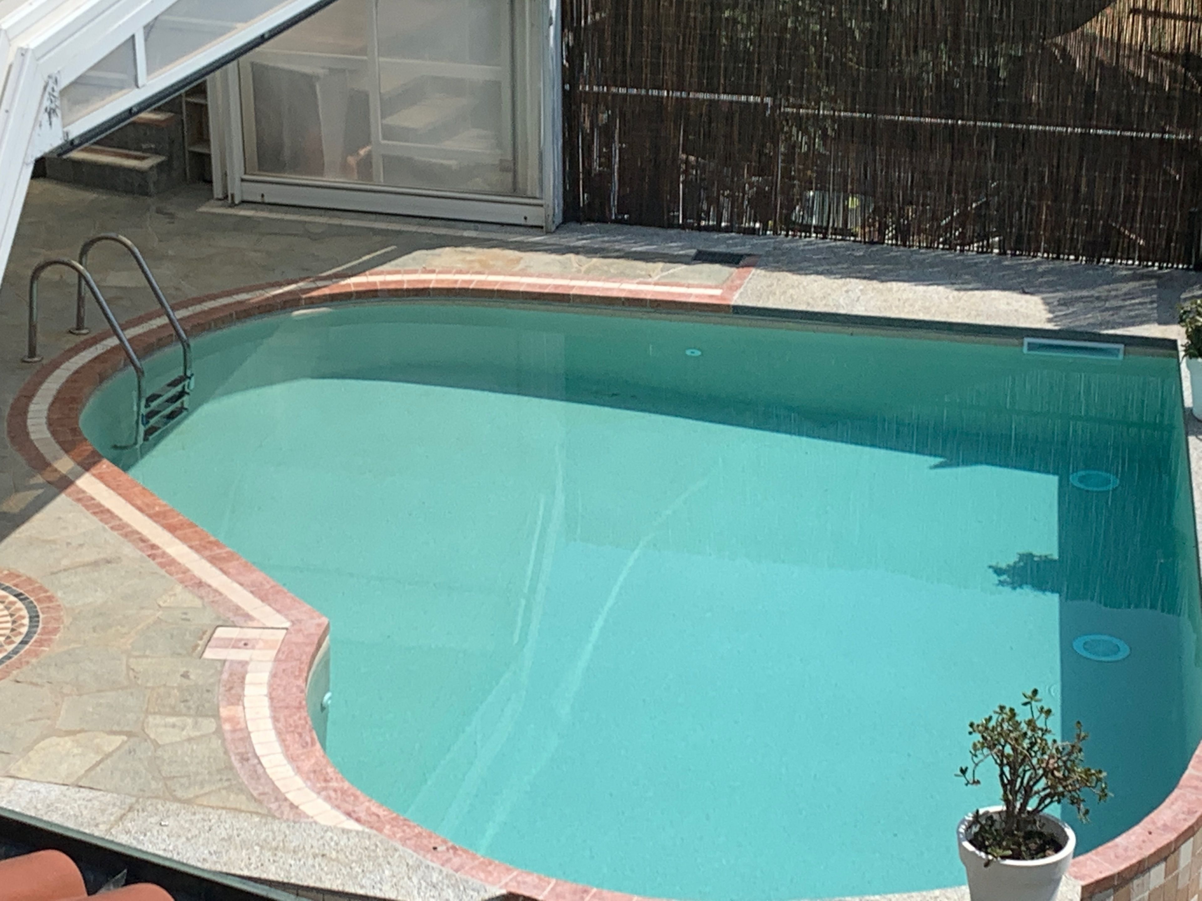 Una piscina con suelo de baldosas y una planta en maceta.