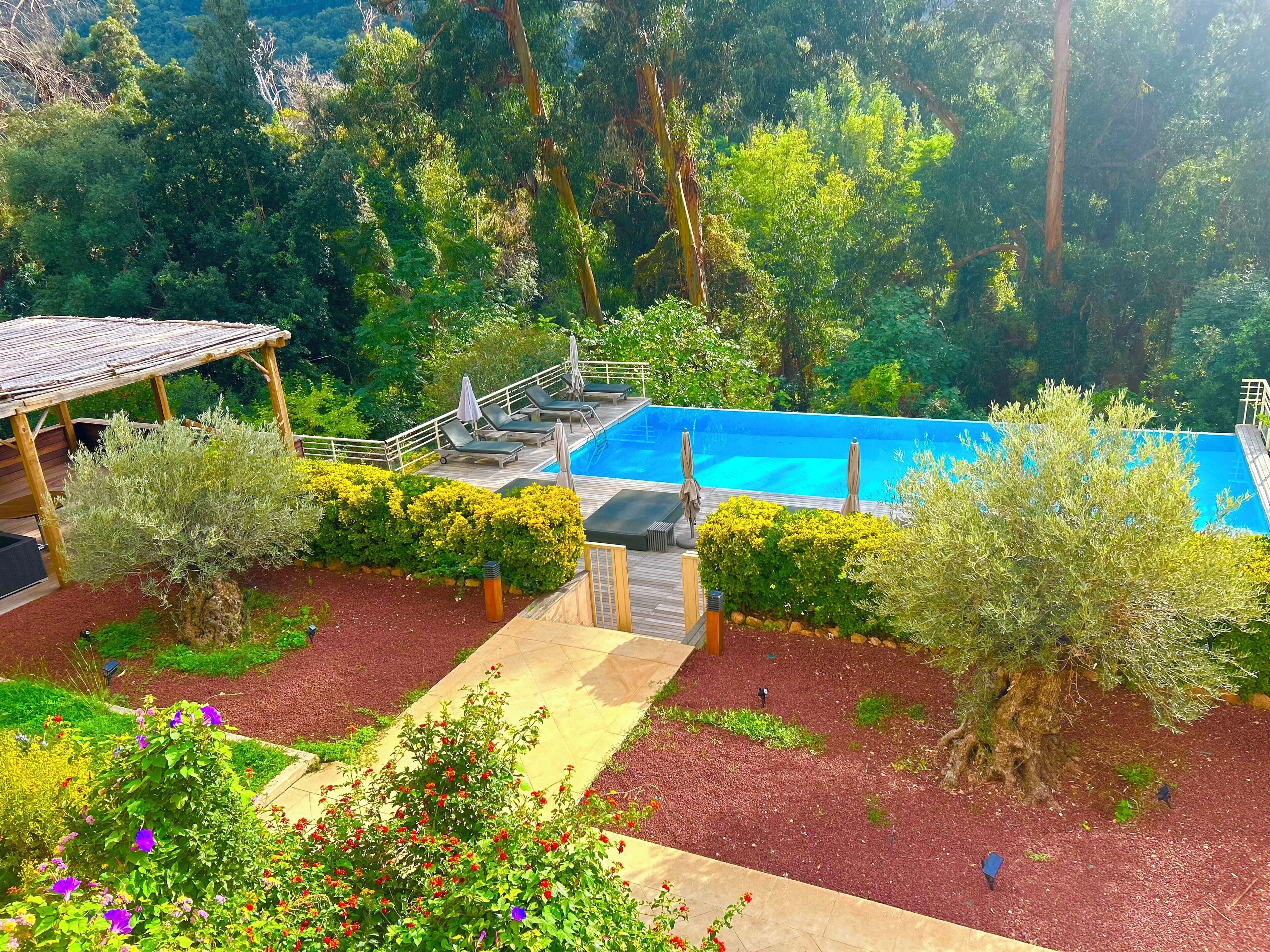 Una piscina con bordo in legno, immersa nel verde e sormontata da un pergolato.