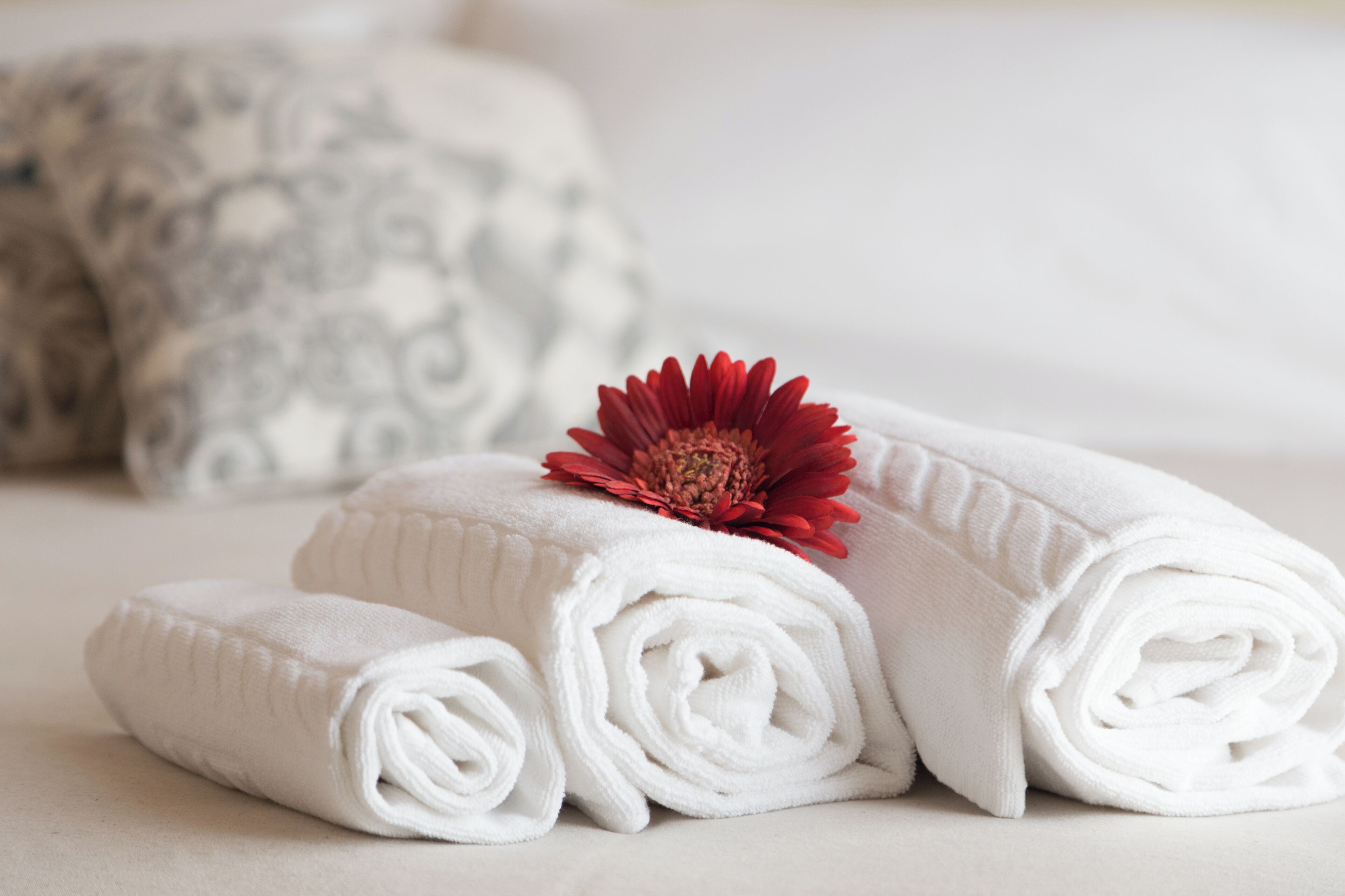 Toallas blancas cuidadosamente dobladas y una flor roja sobre una cama con un cojín estampado.