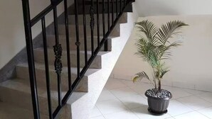 Una escalera con barandales negros y una planta de palma en maceta en el suelo.