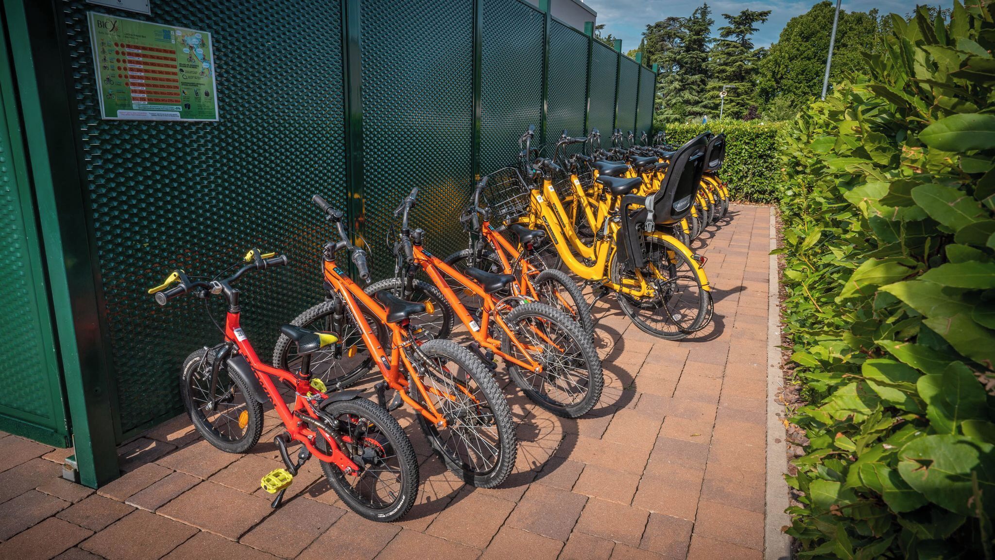 A row of bicycles parked against a green fence, with a paved walkway beside them.